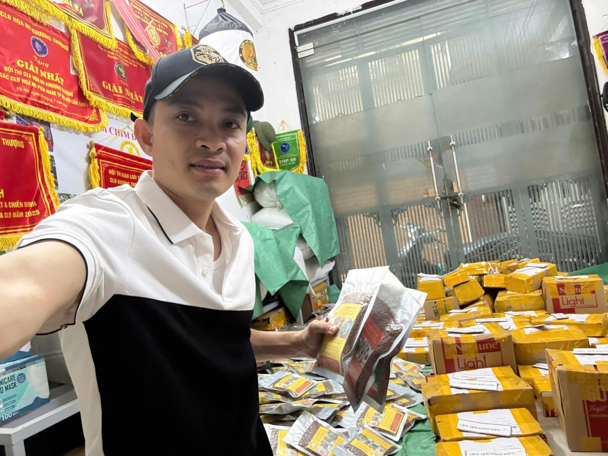 cám chim đất việt